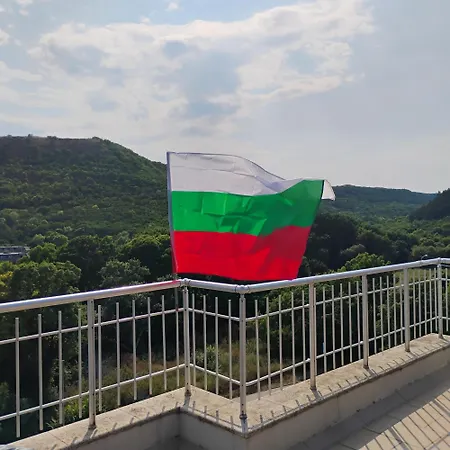 Vanesa * Каварна